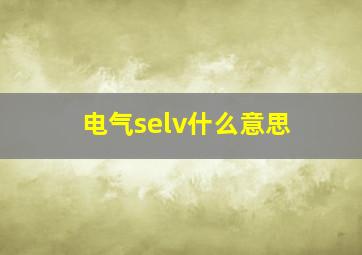 电气selv什么意思