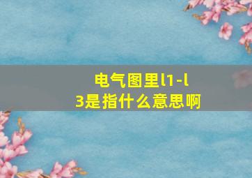 电气图里l1-l3是指什么意思啊