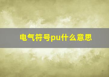 电气符号pu什么意思