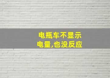 电瓶车不显示电量,也没反应