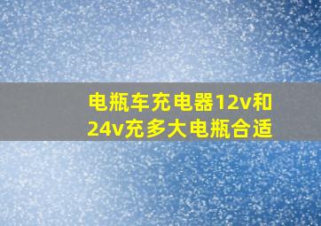 电瓶车充电器12v和24v充多大电瓶合适