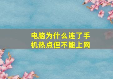 电脑为什么连了手机热点但不能上网