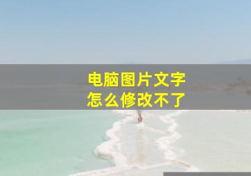 电脑图片文字怎么修改不了