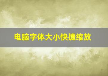 电脑字体大小快捷缩放