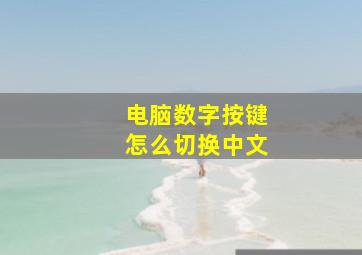 电脑数字按键怎么切换中文