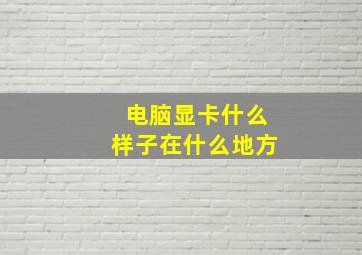 电脑显卡什么样子在什么地方