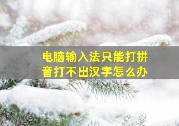 电脑输入法只能打拼音打不出汉字怎么办