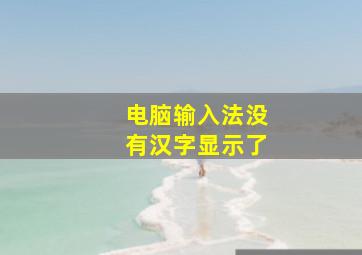 电脑输入法没有汉字显示了