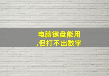 电脑键盘能用,但打不出数字