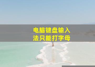 电脑键盘输入法只能打字母