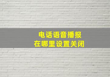 电话语音播报在哪里设置关闭