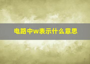 电路中w表示什么意思