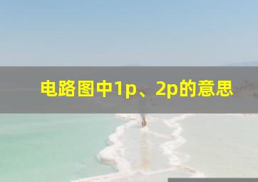 电路图中1p、2p的意思