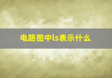 电路图中ls表示什么