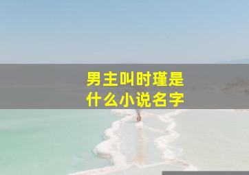 男主叫时瑾是什么小说名字