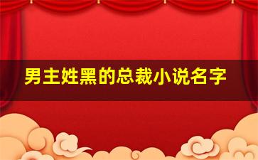 男主姓黑的总裁小说名字