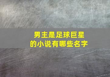 男主是足球巨星的小说有哪些名字