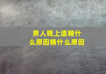 男人晚上遗精什么原因精什么原因