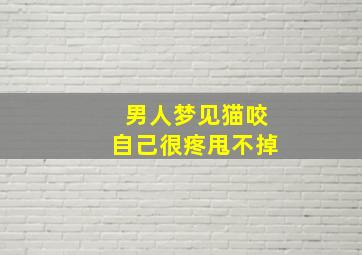 男人梦见猫咬自己很疼甩不掉