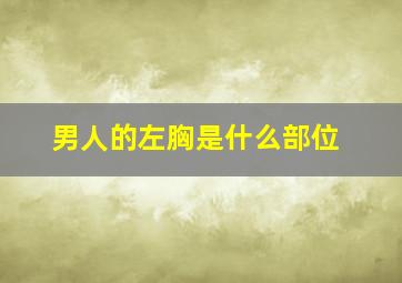 男人的左胸是什么部位