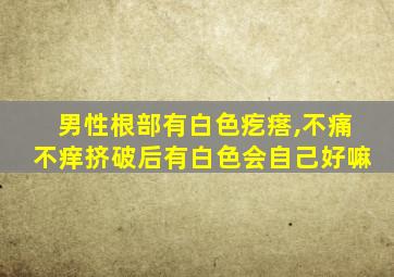 男性根部有白色疙瘩,不痛不痒挤破后有白色会自己好嘛