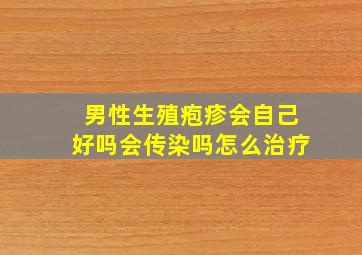 男性生殖疱疹会自己好吗会传染吗怎么治疗