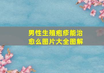 男性生殖疱疹能治愈么图片大全图解