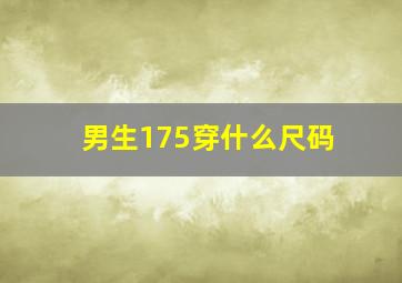 男生175穿什么尺码