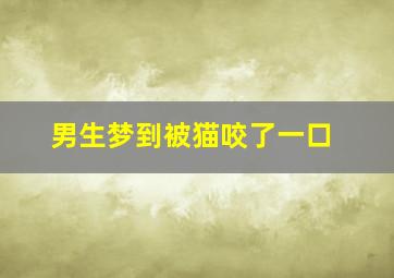 男生梦到被猫咬了一口