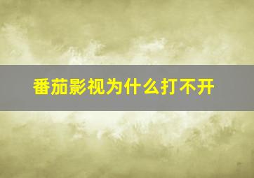 番茄影视为什么打不开