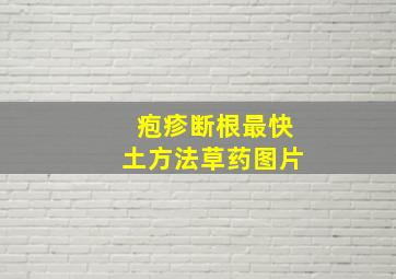 疱疹断根最快土方法草药图片