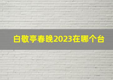 白敬亭春晚2023在哪个台