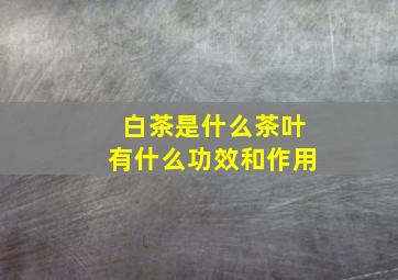 白茶是什么茶叶有什么功效和作用