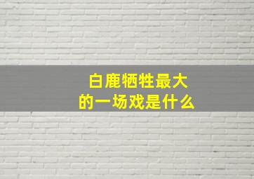 白鹿牺牲最大的一场戏是什么