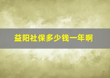 益阳社保多少钱一年啊