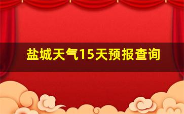 盐城天气15天预报查询