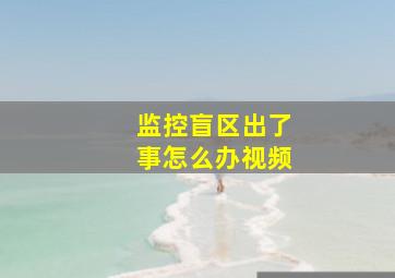 监控盲区出了事怎么办视频