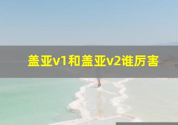 盖亚v1和盖亚v2谁厉害