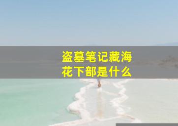 盗墓笔记藏海花下部是什么