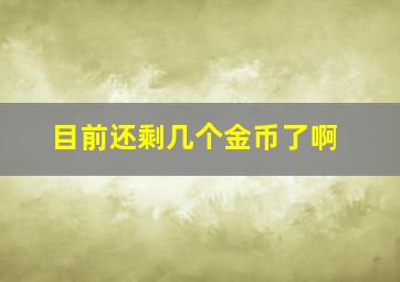 目前还剩几个金币了啊