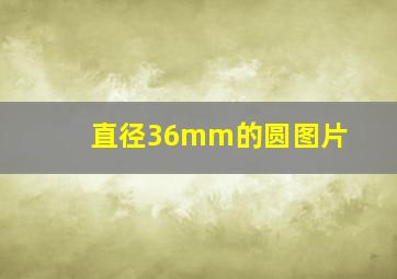 直径36mm的圆图片