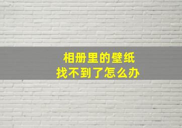 相册里的壁纸找不到了怎么办