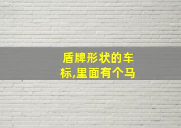 盾牌形状的车标,里面有个马