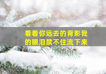 看着你远去的背影我的眼泪禁不住流下来