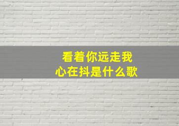 看着你远走我心在抖是什么歌