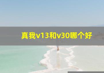 真我v13和v30哪个好