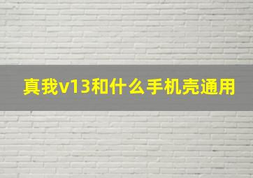 真我v13和什么手机壳通用