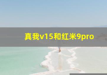 真我v15和红米9pro