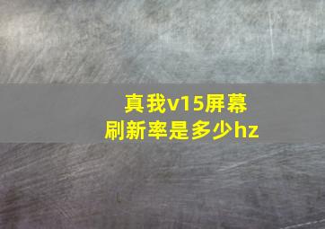 真我v15屏幕刷新率是多少hz