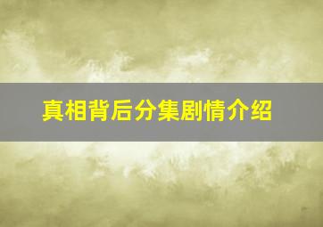 真相背后分集剧情介绍